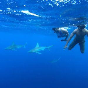 Meet your Posher, Erik